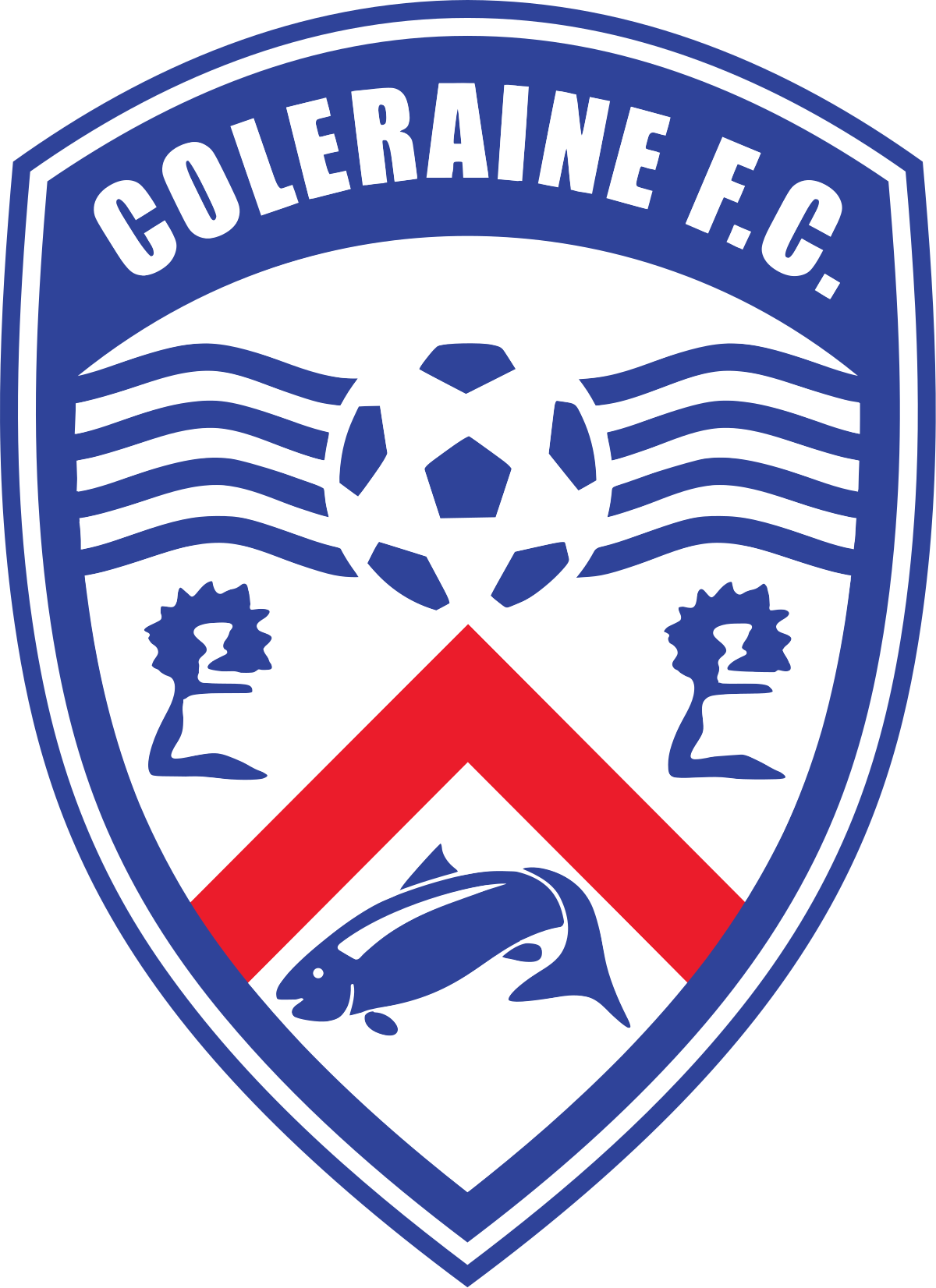 Coleraine Sub-19