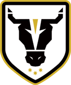 Akademi Banteng (W)