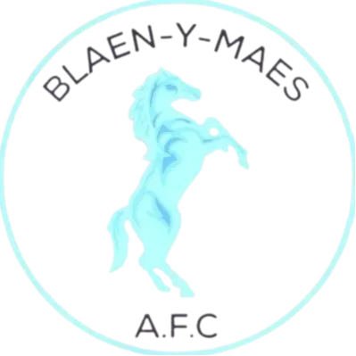 Blaen Y Maes