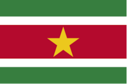 Fútbol sala de Surinam Fútbol sala de Surinam