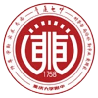 Chongqing No. 7 Middle School Dongchuan U13 Chongqing No. 7 Middle School Dongchuan U13