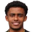 Fanuel Ghebreyohannes Yrga-Alem