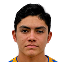 Luis Ronaldo Najera Reyna