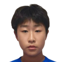 Wang Haowen