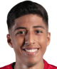 هوين غارديا