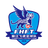 Yunnan Flying Tigers(2012-2019)