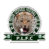 Prison Leopards