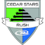 Bintang Cedar