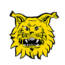 ইলভেস ইয়ুথ