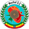 ডিফেন্স ফোর্স ইথিওপিয়া