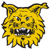 इल्वेस U20