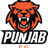 Minerva Punjab