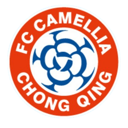 Chongqing Dikai