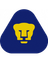 Pumas U20