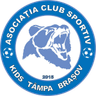 Kids Tampa Brasov
