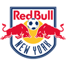 Banteng Merah New York