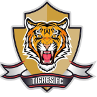 Harimau U19