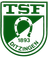TSF Ditzingen Youth