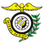 صناعة التجارة