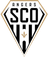 Angers SCO Formation