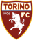 Torino Under 17