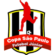 كأس الشباب البرازيلية