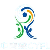 চীন যুব ফুটবল লিগ (পুরুষ U13 গ্রুপ)