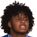 Younes Al-Shanqeeti