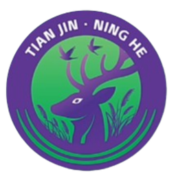 Tianjin Ninghe Tianjin Ninghe