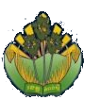 Provinsi Kampong Speu