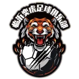 Linyi Yihu U20