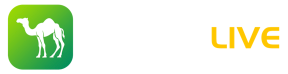 Camel Live